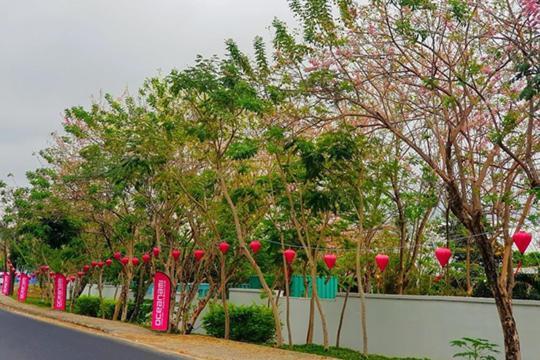 Lovely Room Oceanami Resort Long Hai Buitenkant foto